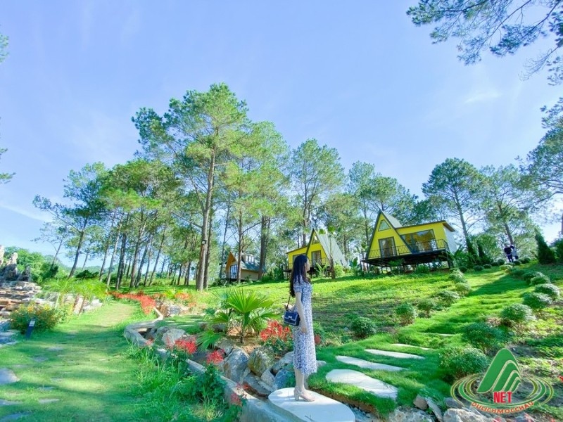 TOUR MỘC CHÂU 3 NGÀY 2 ĐÊM