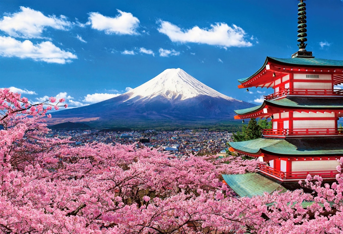 TOKYO – NÚI PHÚ SĨ - YOKOHAMA - TOKYO