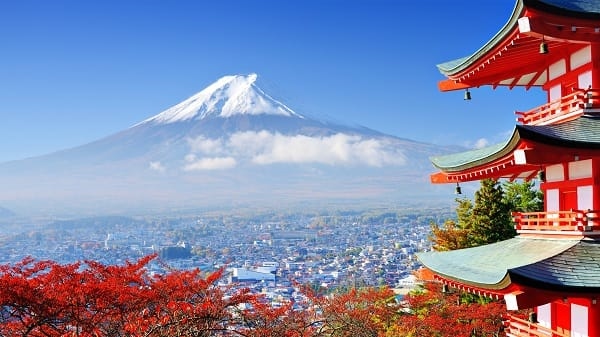 TOUR PHÚ SĨ – YAMANASHI 2 NGÀY 1 ĐÊM | MÙA HOA LAVENDER & HÁI ĐÀO NHẬT BẢN