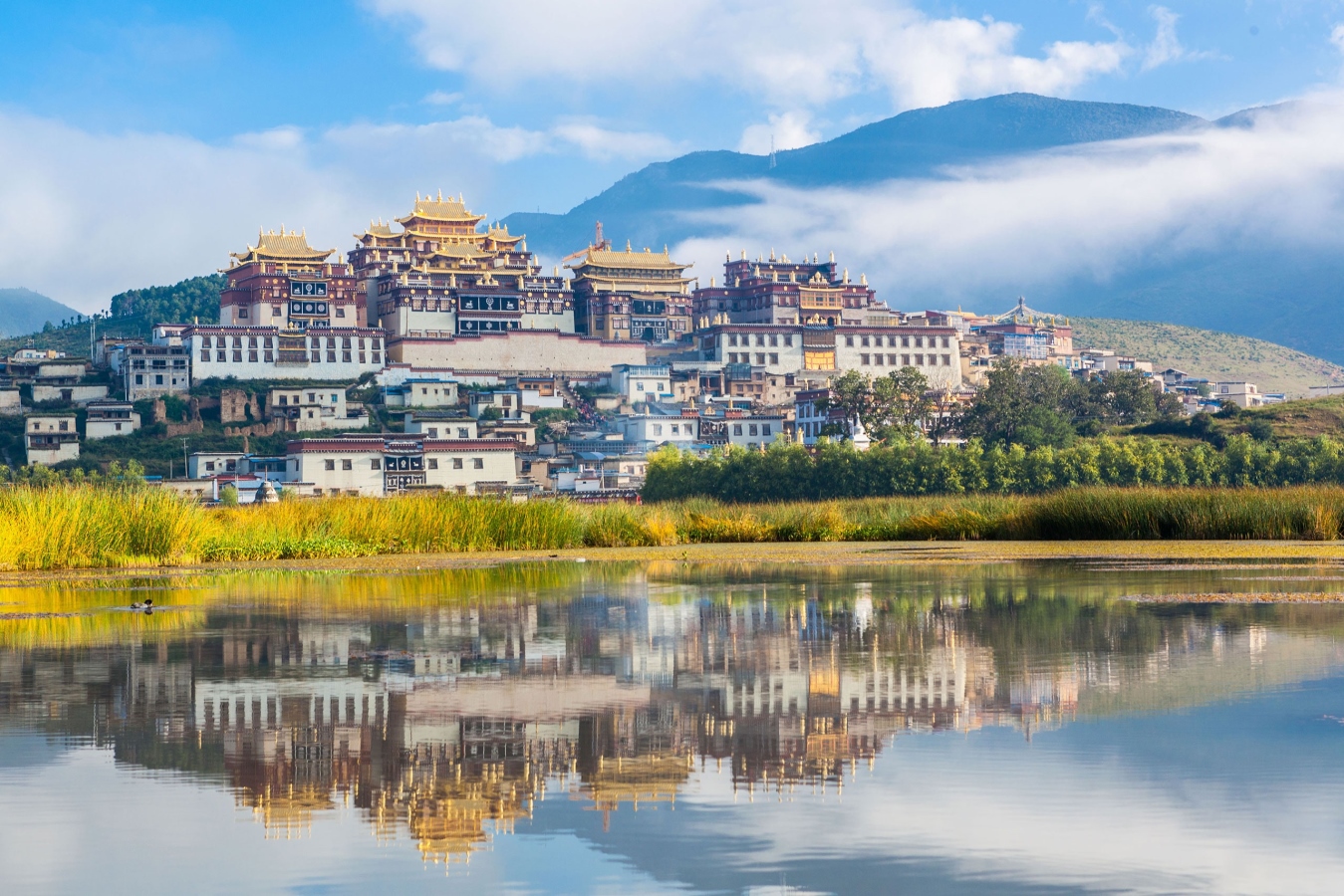 ĐẠI LÝ – LỆ GIANG – SHANGRILA | HÀNH TRÌNH KHÁM PHÁ VÙNG ĐẤT HUYỀN THOẠI VÂN NAM